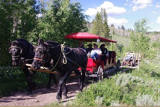 Parade Rest Ranch West Yellowstone Extérieur photo