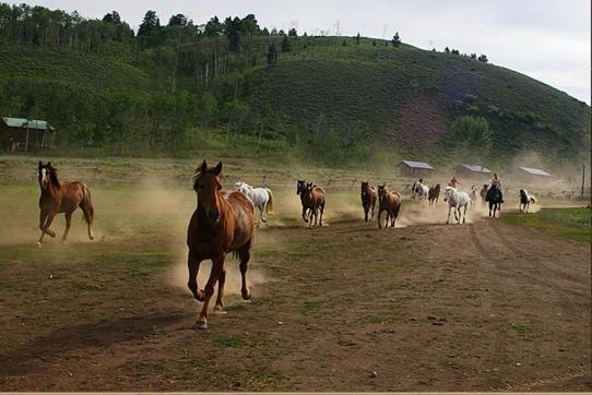Parade Rest Ranch West Yellowstone Extérieur photo